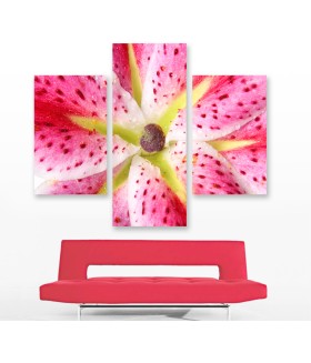 Multi-canvas 3x Pink lily